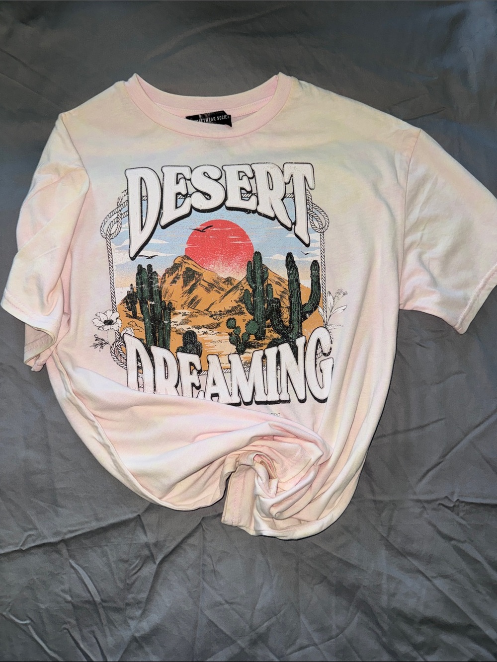 Streetwear Society Desert Graphic Tee - Pale Pink with Red Sun